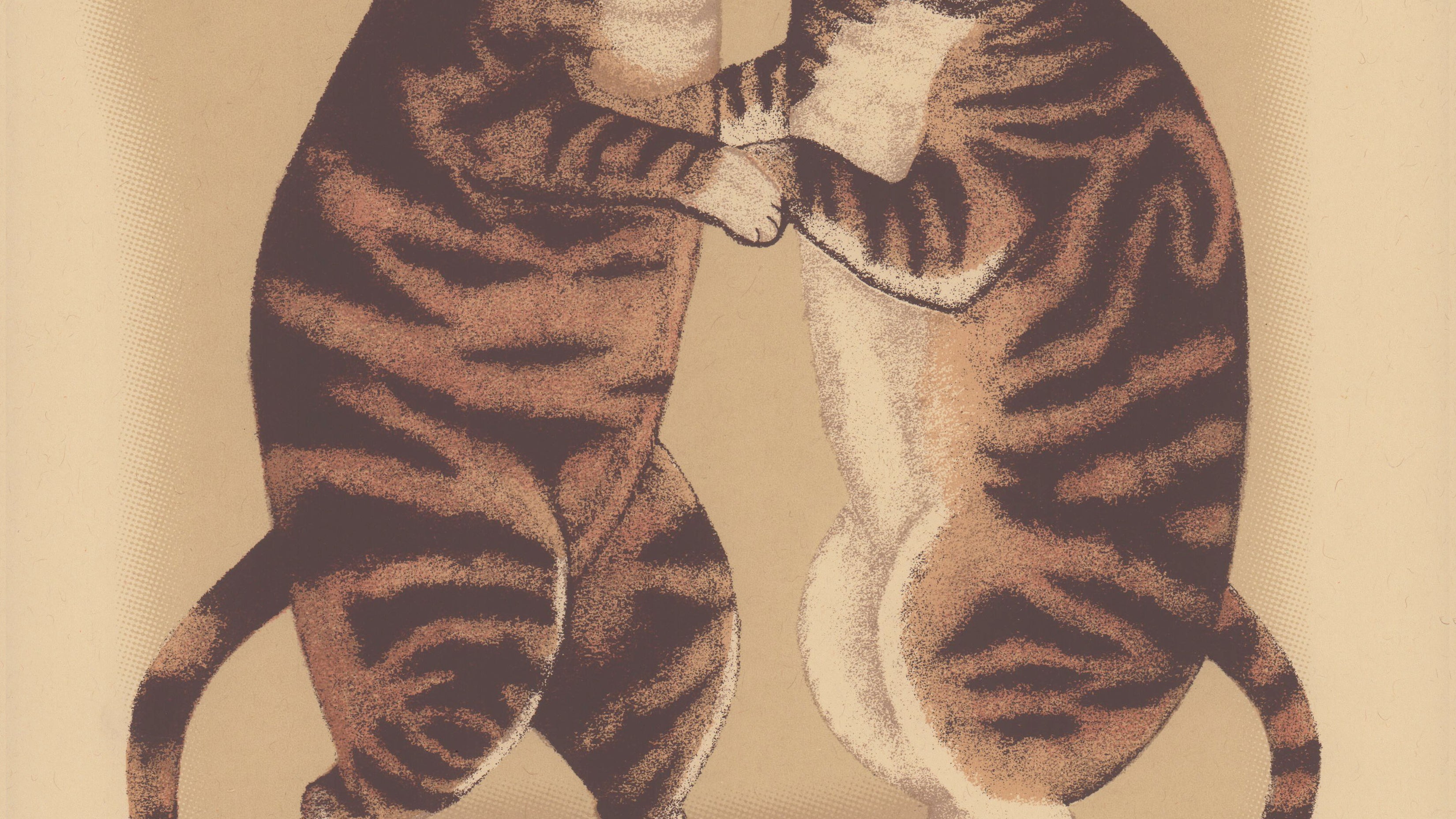 Arna Miller's "Stop Pouring Gasoline on the Fire, and Other Stories About Cats"