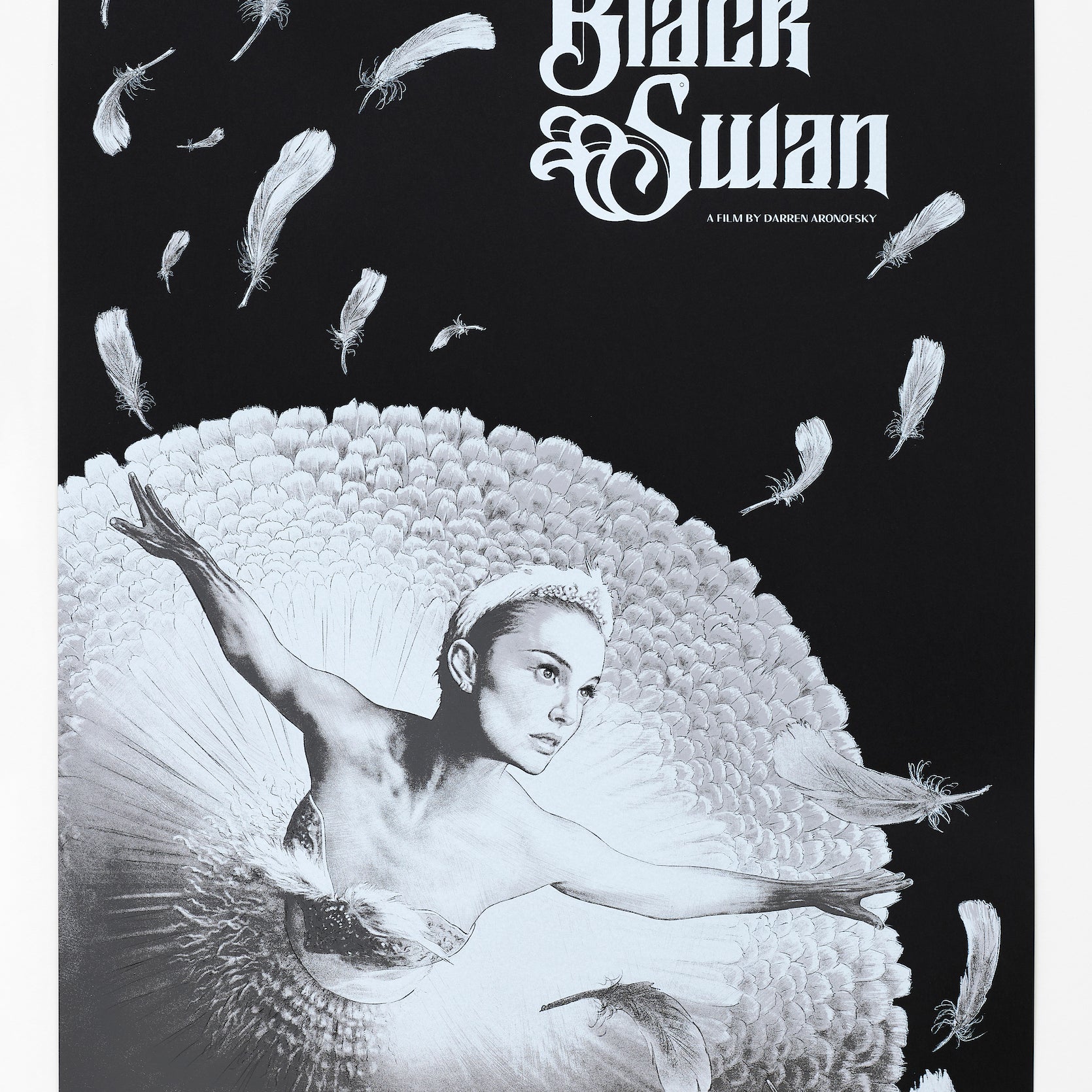 Neil Davies - "Black Swan" print - Spoke Art