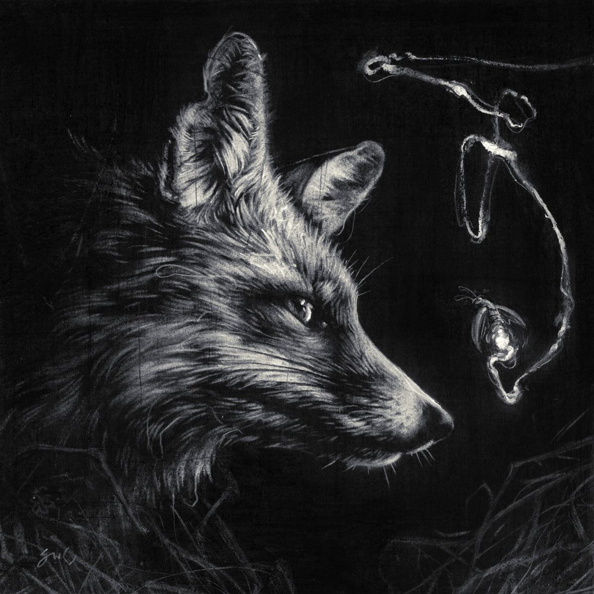 A detailed black-and-white drawing from Spoke Art shows a fox's head in profile, inspired by Sam Wolfe Connelly, gazing at a glowing fishhook and lure in the dark above wispy grass.