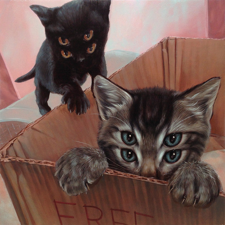 A surreal image features a black cat with two sets of eyes on a FREE box, alongside a gray tabby with extra eyes, inspired by Casey Weldons style, reminiscent of artwork youd find at Spoke Art Gallery.