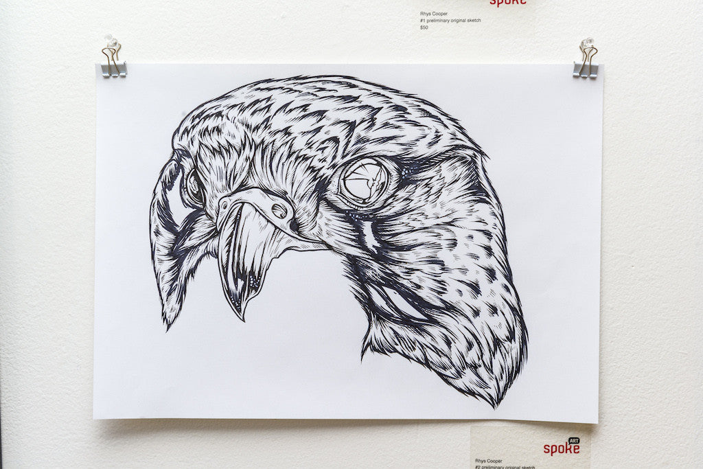 A detailed black and white hawk illustration by Rhys Cooper hangs on a white wall. The ink-on-paper sketch intricately captures the birds sharp features and piercing gaze. Its held up by small clips at the top corners.