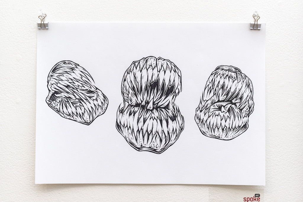 A black and white preliminary sketch by Rhys Cooper, featuring intricate abstract shapes reminiscent of organic forms, is inked on paper and clipped to a white wall.