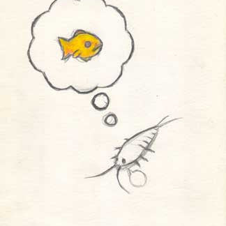 Luke Chuehs Silverfish Fantasies features a small creature, perhaps a shrimp, dreaming of a yellow fish. This framed artwork displays the creatures thought bubble on a plain light background.