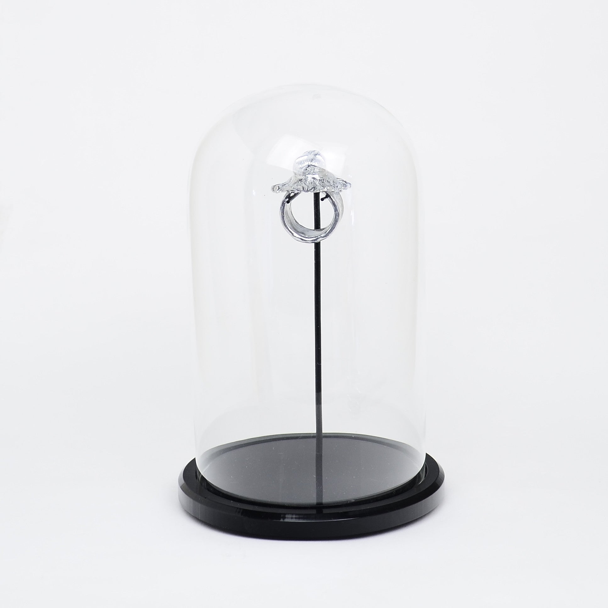 A Rebecca Rose sculpture of a silver-colored ring with a pointed top, resembling roaring art jewelry, is showcased on a thin vertical stand inside a hand-blown glass dome with a black base against a plain white background.