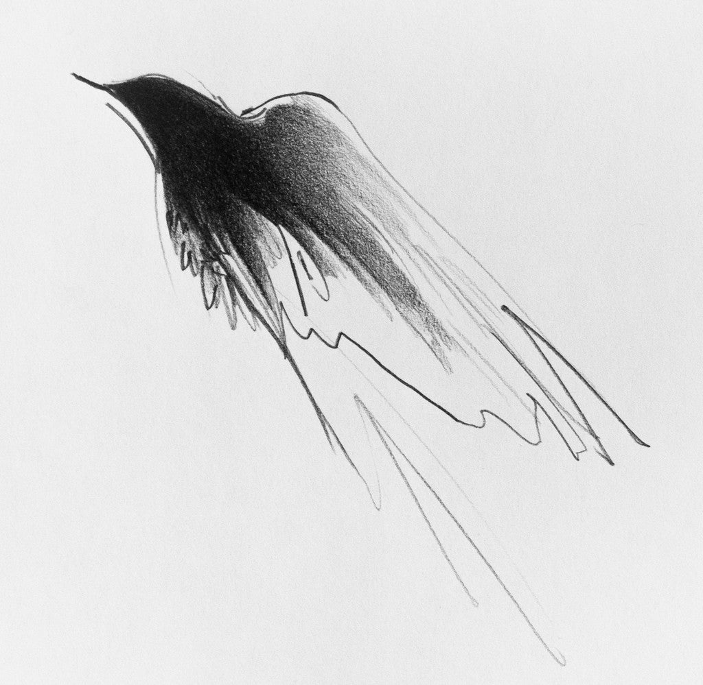 Megan Wolfes abstract pencil sketch of a bird in flight, featured at Spoke Art Gallery, displays dark shading on the head and wings with lighter strokes on the body and tail, reminiscent of her Small Wraith #2 series, all set against a plain white background.