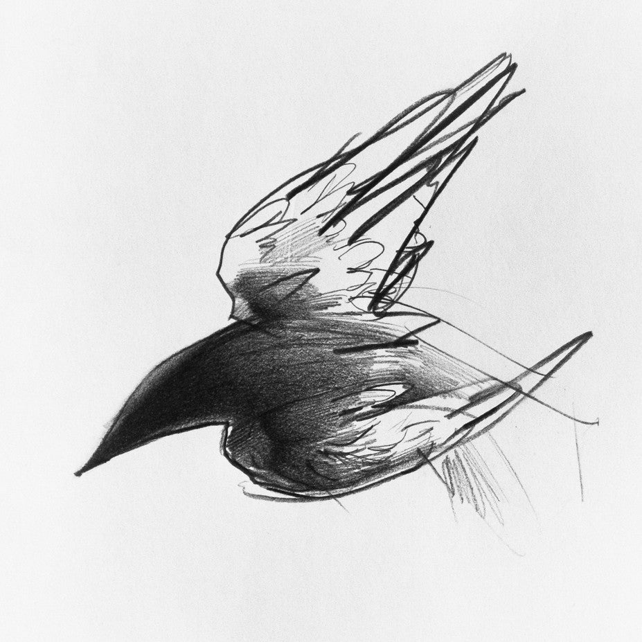 This framed artwork by Megan Wolfe is a dynamic pencil sketch depicting a bird in flight using bold, sweeping lines. The abstract illustration is rendered in striking black and white, effectively capturing the essence of movement.
