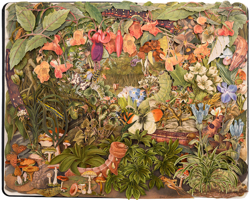 Hope Kroll  - "The Garden" - Spoke Art