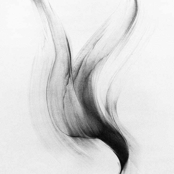 Megan Wolfes Wraith #4 is an abstract black and white drawing in pencil on paper, depicting a graceful, swirling form that resembles flowing fabric or a bird in flight, with smooth, curved lines evoking movement and fluidity.