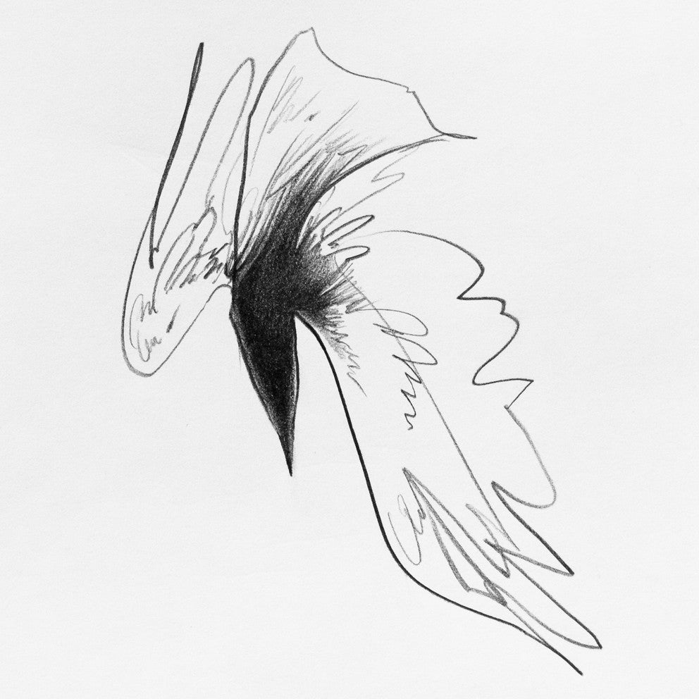 Small Wraith #3, a pencil drawing by Megan Wolfe, features fluid lines resembling a bird in motion, highlighted by central shading and a blend of sharp and soft elements on a white background.