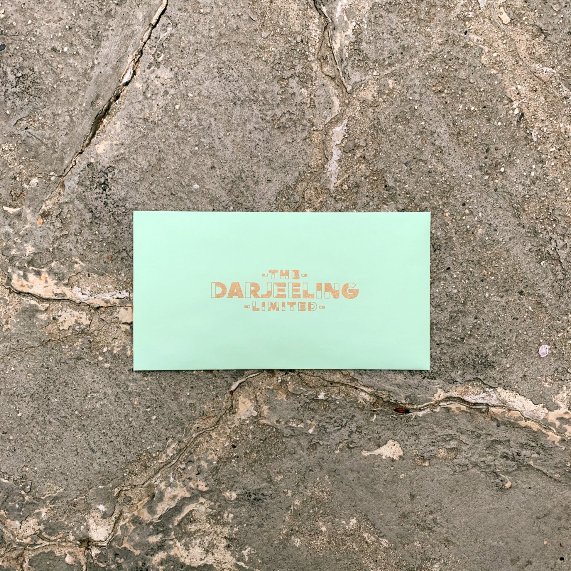 Brighton Ballard The Darjeeling Limited Tarot Card Set with Custom Envelope
