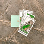 Brighton Ballard The Darjeeling Limited Tarot Card Set with Custom Envelope