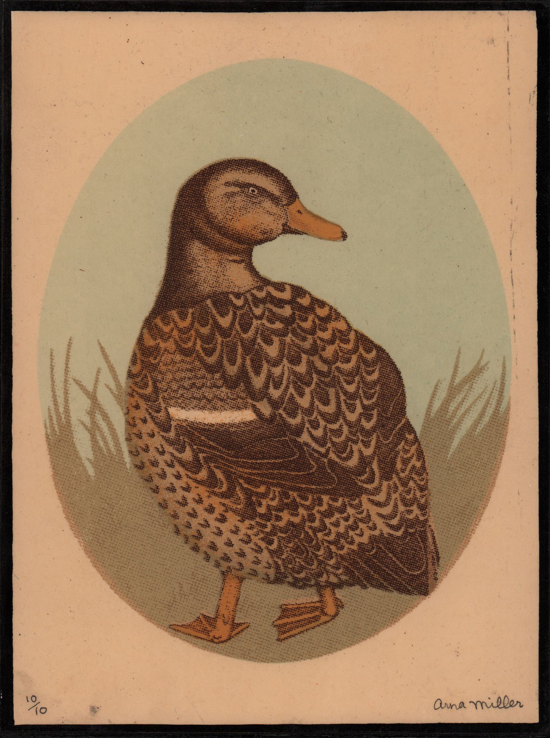 Arna Miller - "Chenchenbelle" - Spoke Art