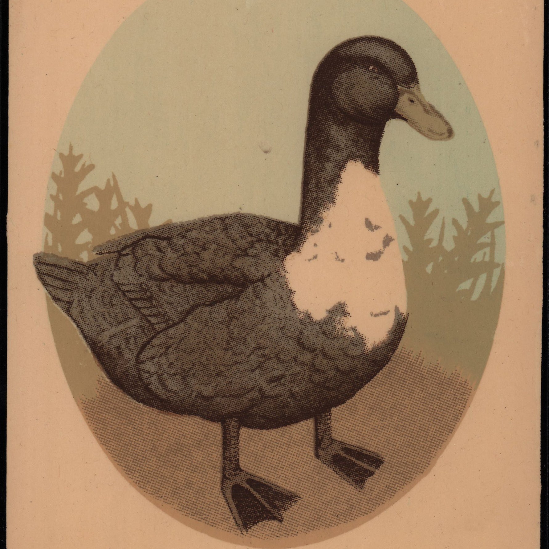 Arna Miller - "Fenstenstein" - Spoke Art