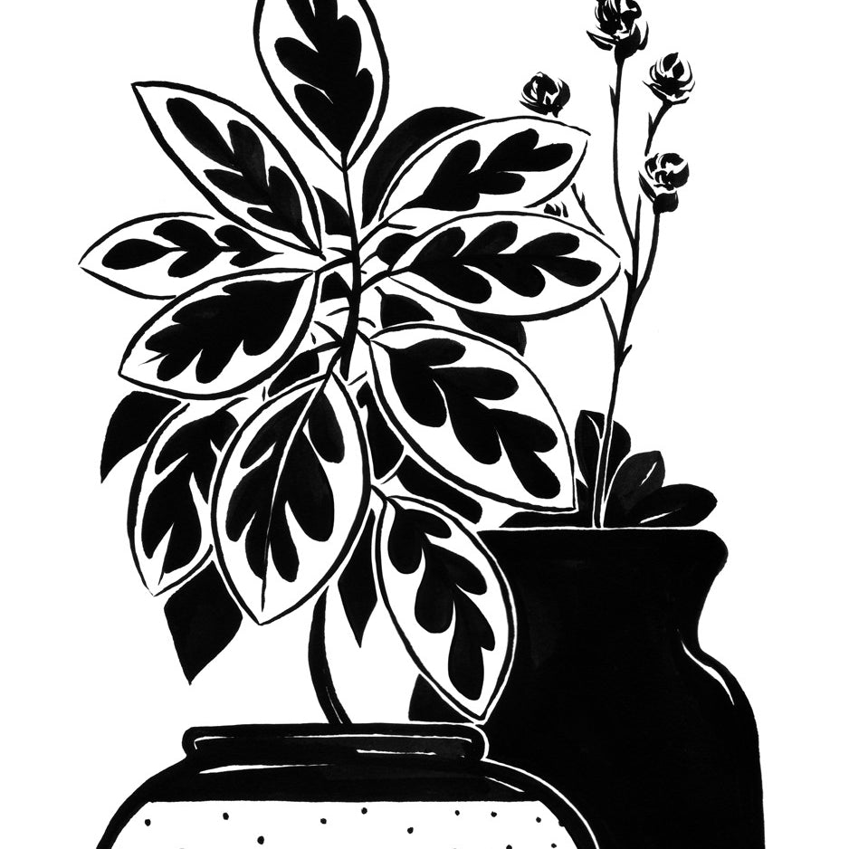 Bagger43s ink illustration depicts two potted plants: a bushy one with large leaves and a slender one with small flowers, in simple pots. This artwork captures the essence of Still-Life 2, showcasing contrasting light and dark tones.