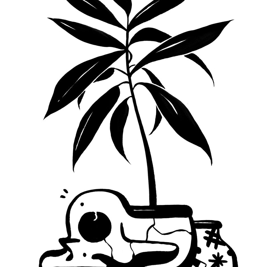 "Still-Life 4" - Spoke Art