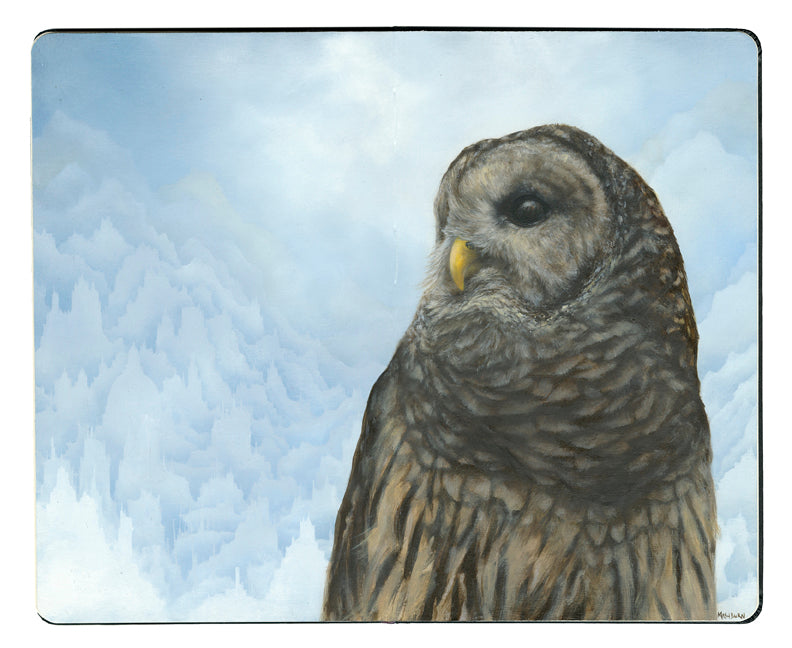 Brian Mashburn - "Barred Owl" - Spoke Art