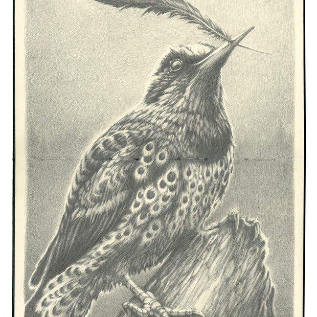 Brin Levinson - "The Quill" - Spoke Art