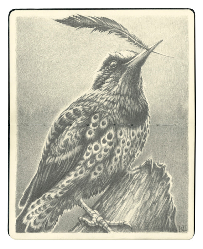 Brin Levinson - "The Quill" - Spoke Art