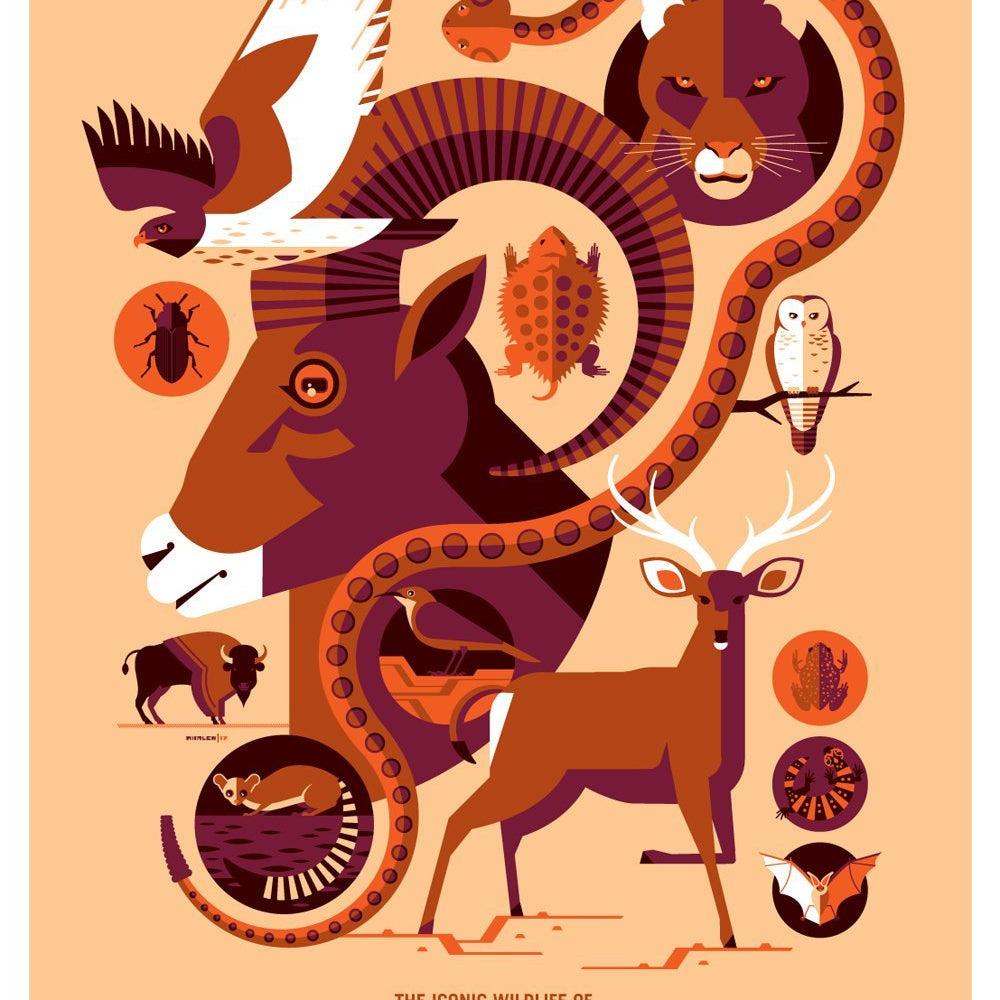 Tom Whalen - "Iconic Wildlife of Grand Canyon National Park" - Spoke Art