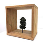 Ellis Gallagher - "Tree Study 9" - Spoke Art