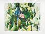 Jessica Hess - "Succulent" Print - Spoke Art
