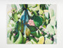 Jessica Hess - "Succulent" Print - Spoke Art