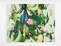 Jessica Hess - "Succulent" Print - Spoke Art