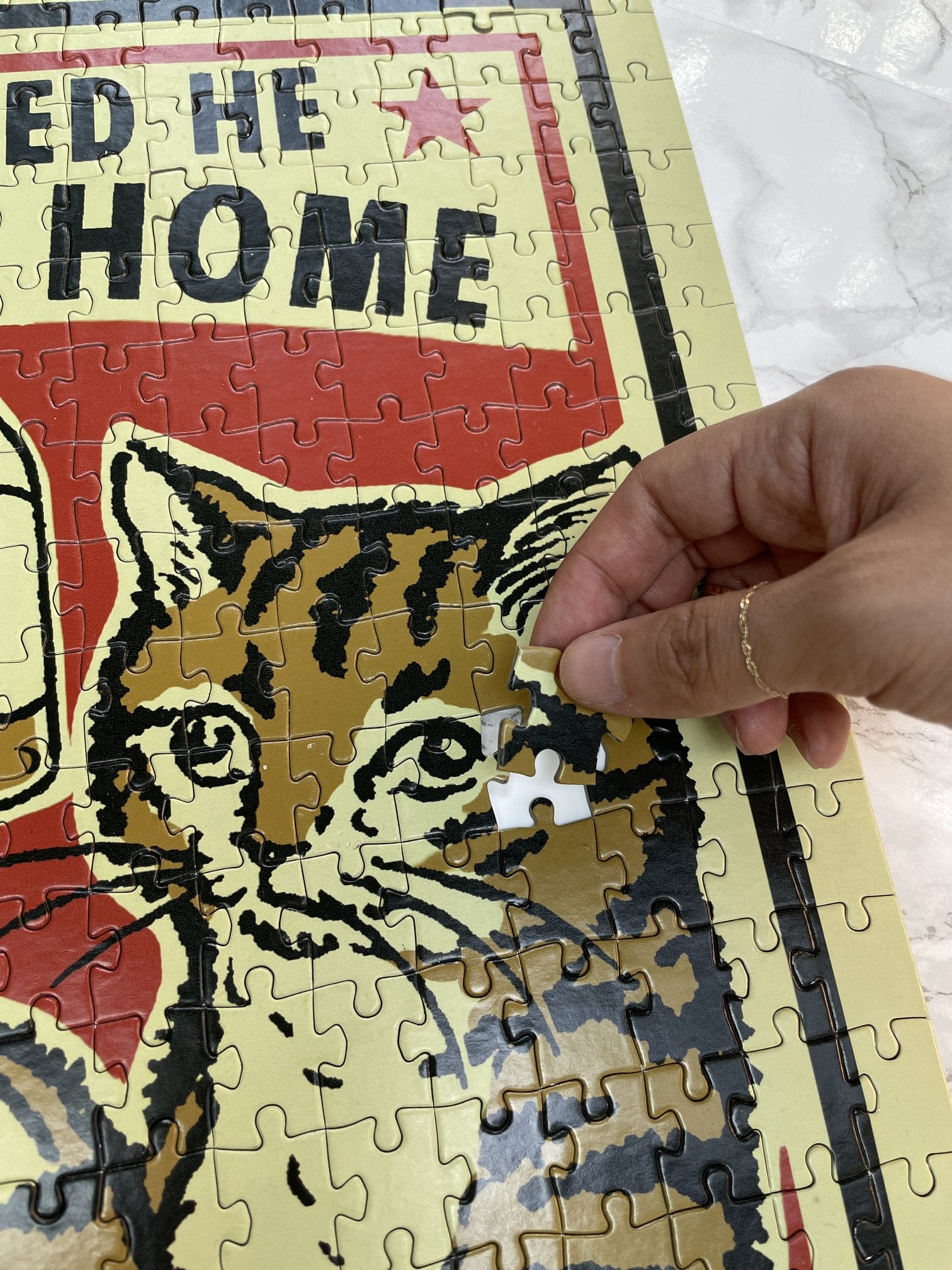 Drunk Cats - "Reading" Puzzle - Spoke Art