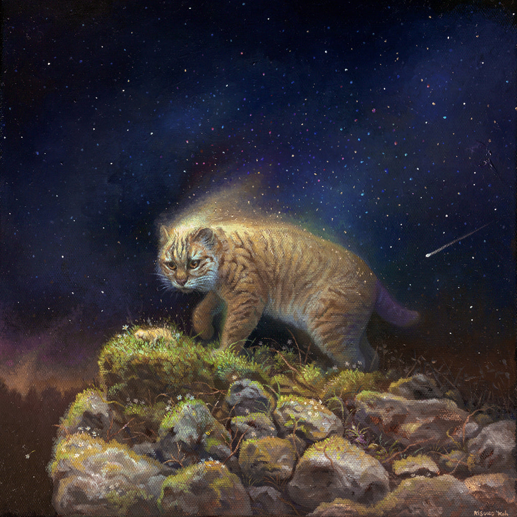Kisung Koh - "A Fine Night" - Spoke Art
