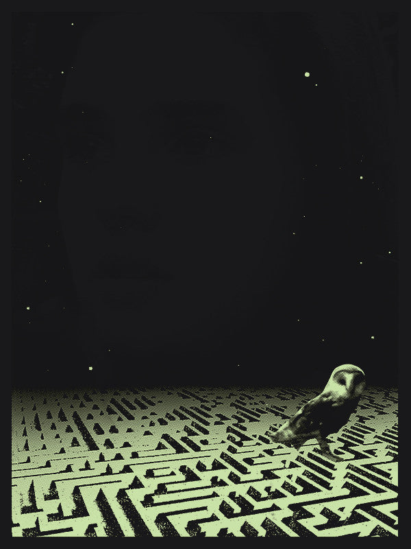 An owl perches on a Sam Smith labyrinth screen print in a surreal image with a dark green hue. A faint face blends into the starry sky like a glow-in-the-dark layer.