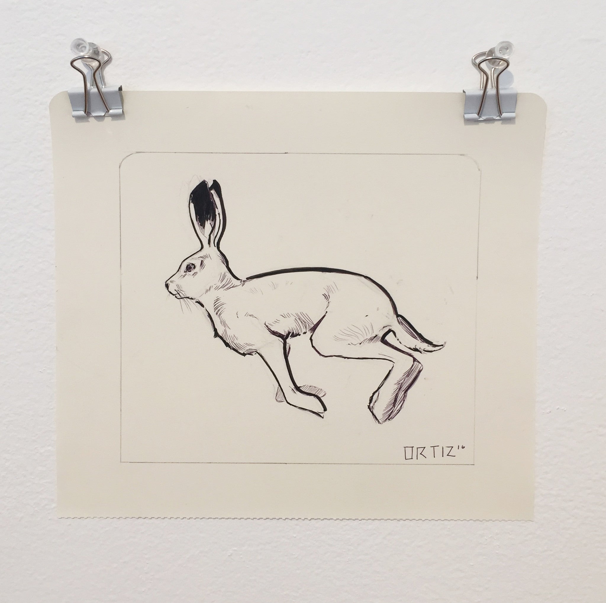 A signed sketch from the Los Bocetos 11 series by Karla Ortiz, clipped to a white wall, depicts a leaping hare. The ink and graphite drawing highlights the hares detailed elongated ears and muscular form, capturing motion.
