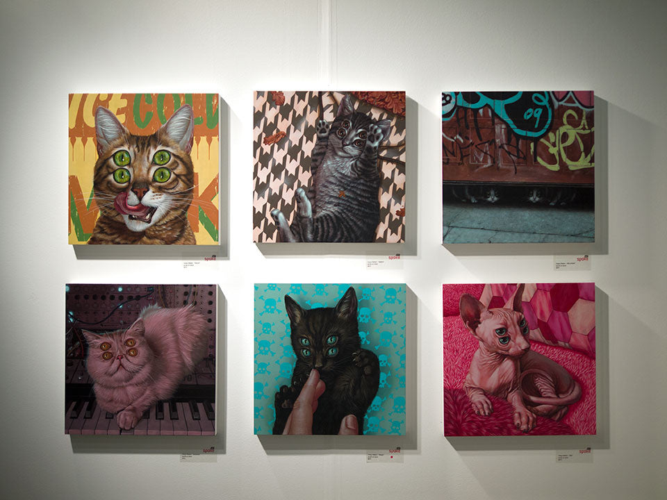 A gallery wall showcases six diverse cat paintings on wood panels. Crafted with acrylic, from whimsical to abstract styles, they celebrate feline charm and personality in Casey Weldons imaginative style.