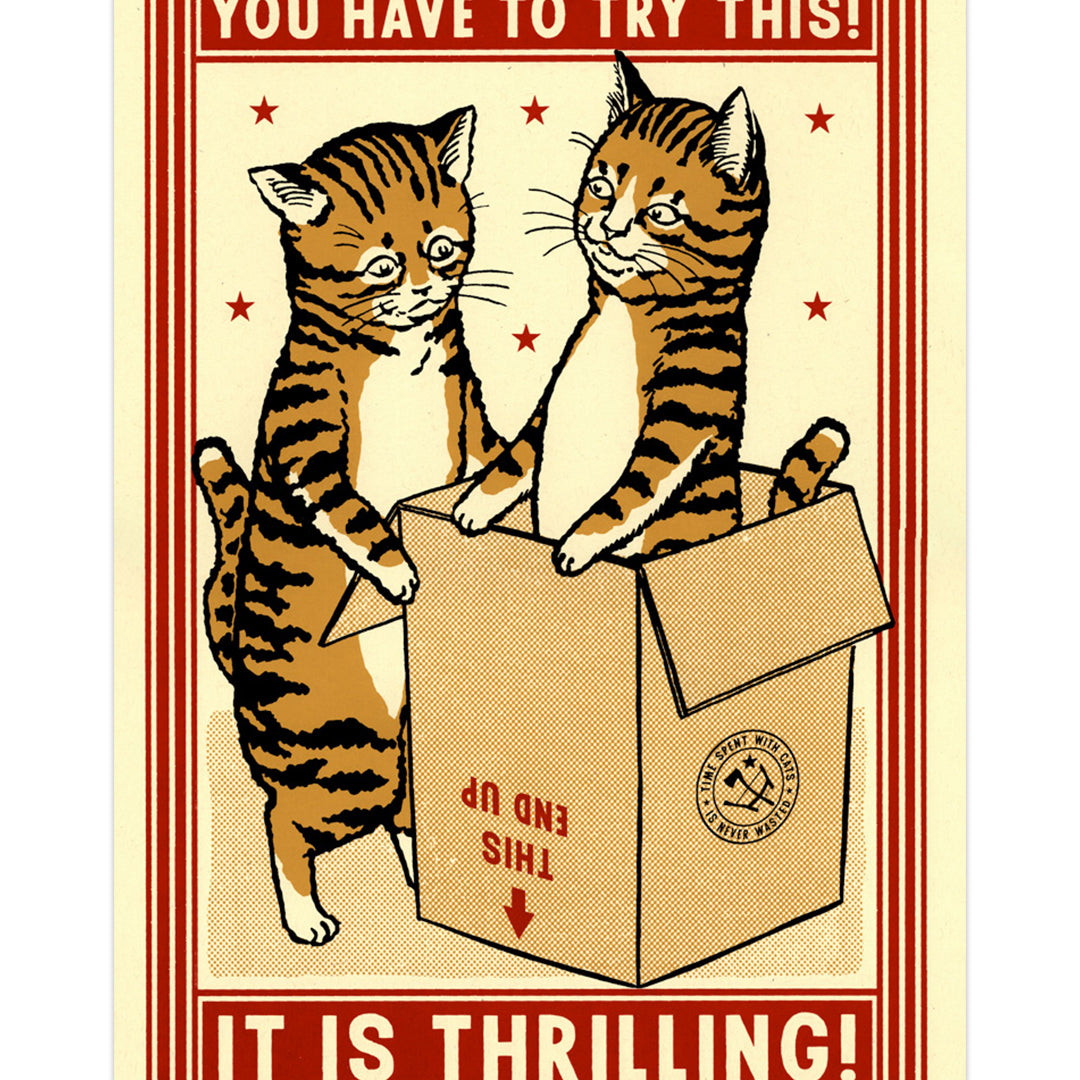 Ravi Zupa - "Thrilling" - Spoke Art