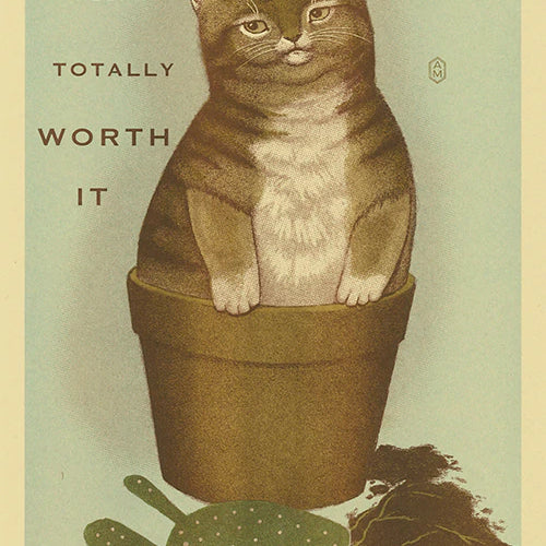 striped cat in flower pot with evicted cactus on ground with text "It was a lot of work but totally worth it"