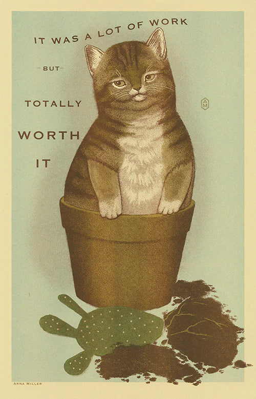 striped cat in flower pot with evicted cactus on ground with text "It was a lot of work but totally worth it"