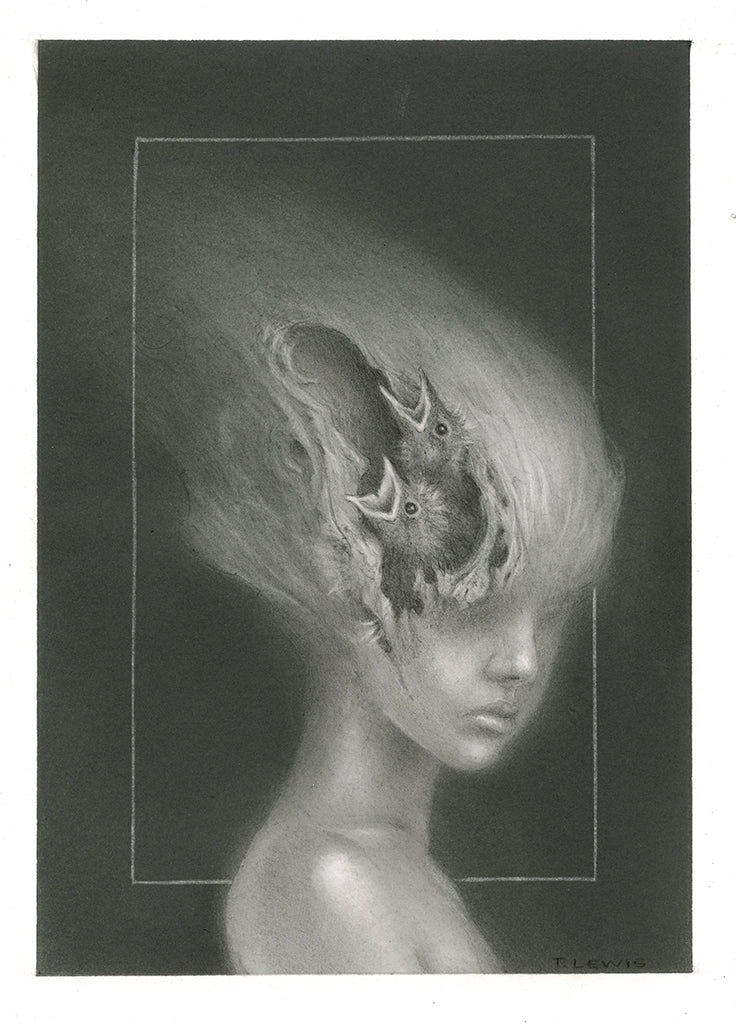 Travis Lewis - "Nest" - Spoke Art