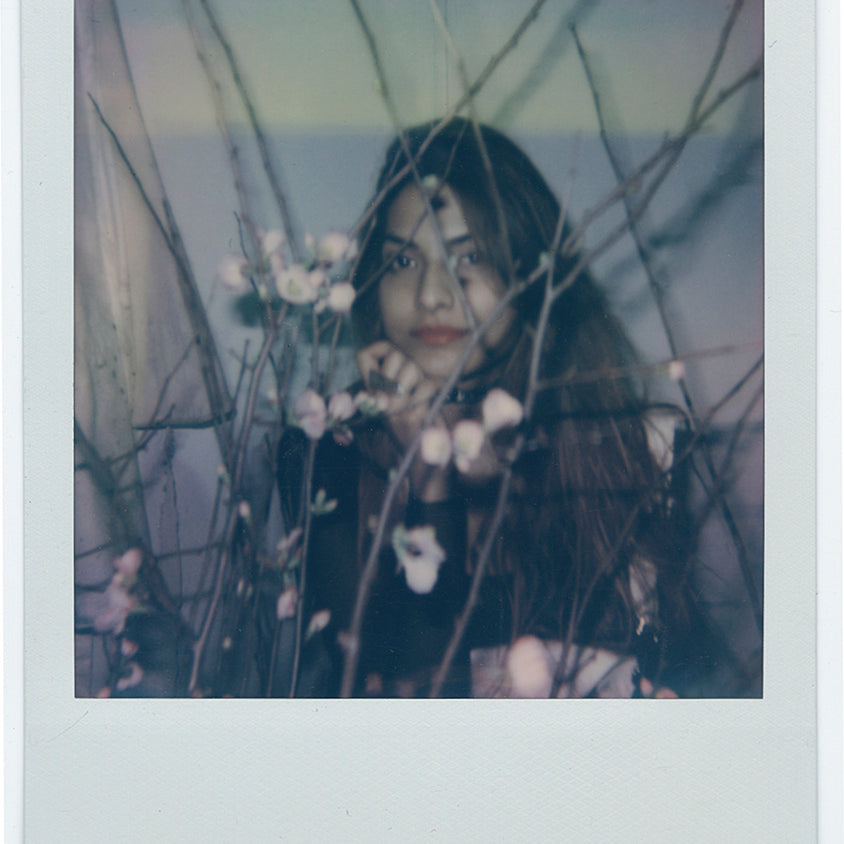 Helice Wen - "Polaroid No. 2" - Spoke Art