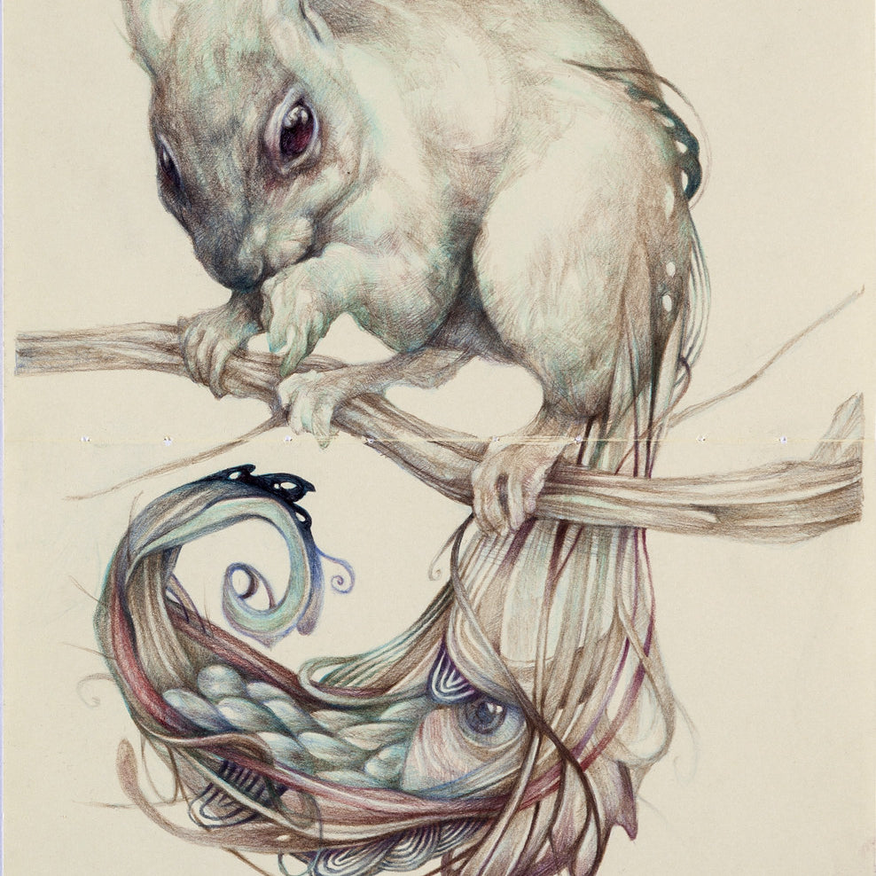 A stylized squirrel perched on a branch showcases intricate, colorful patterns resembling peacock feathers, crafted in colored pencil art. Reminiscent of Marco Mazzonis style, the detailed artwork stands out against a light, neutral background.