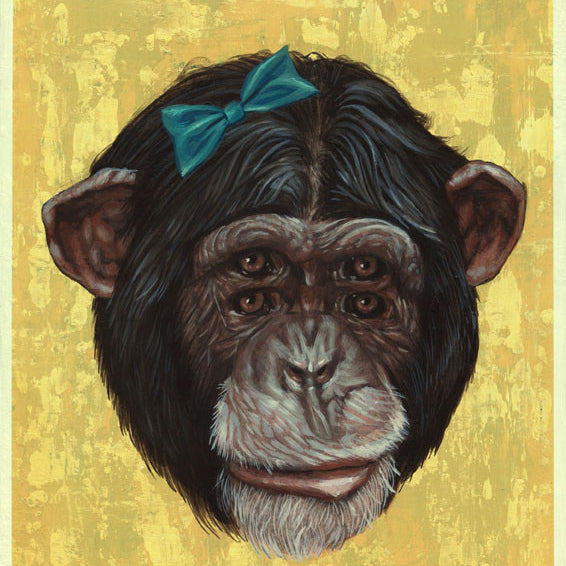 A surreal painting by Casey Weldon features a chimpanzee with dual pairs of eyes against a textured yellow backdrop, adorned with a blue bow on its head, exhibited at the Spoke Art Gallery.