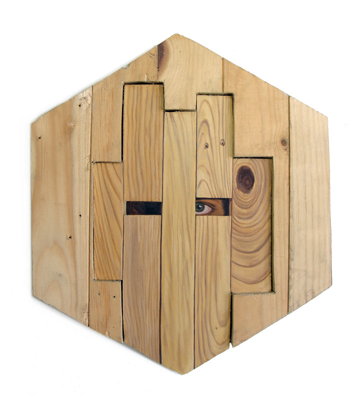 Peter Adamyan - "Camouflage Pine Boards" - Spoke Art