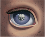 Ana Bagayans Skeleton Eye features a detailed iris with a skull center, surrounded by freckled skin and framed by a row of eyelashes. This oil on panel artwork offers a surreal, eerie vibe thats unforgettable.
