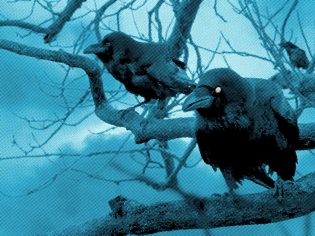 Tim Jordan  - "We Need to Send Ravens" - Spoke Art