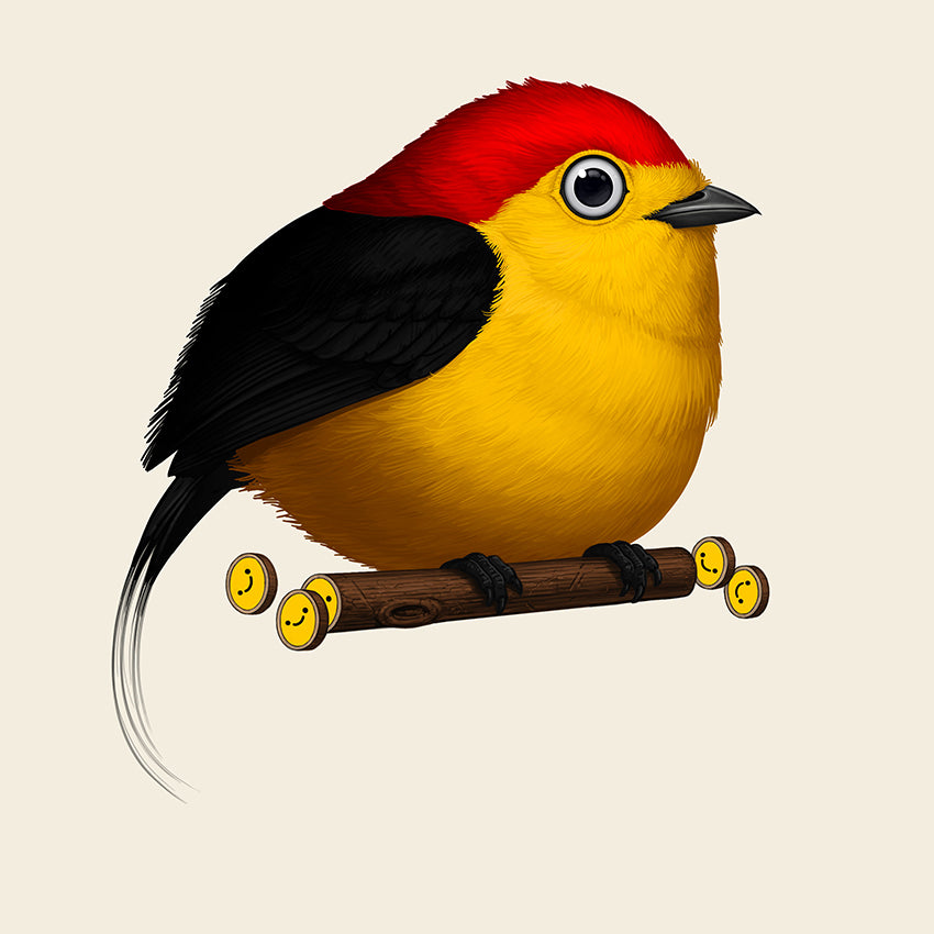 Mike Mitchell - "Wire-tailed Manakin" - Spoke Art