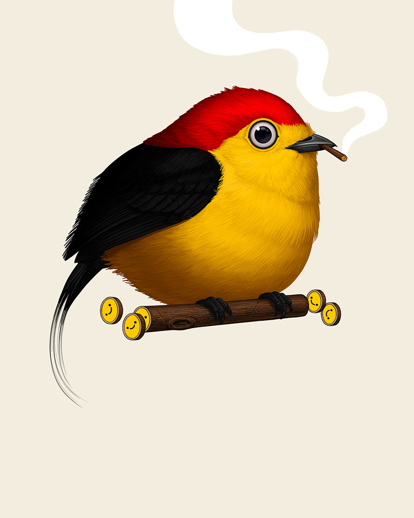 Mike Mitchell - "Wire-tailed Manakin" - Spoke Art