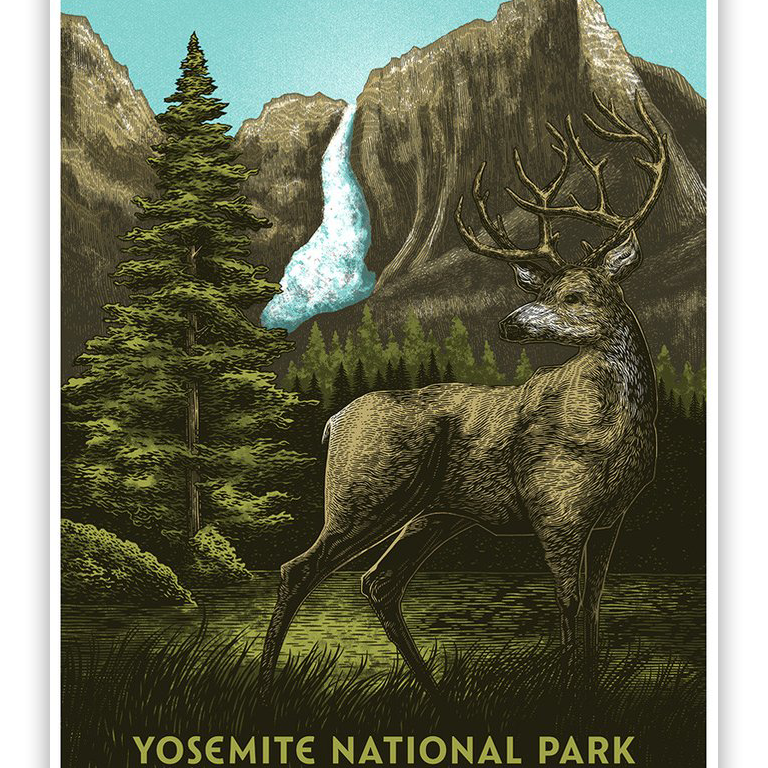 Bungaloo - "Yosemite National Park" - Spoke Art