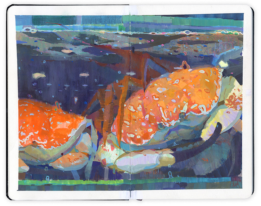 painting on an open face Moleskine notebook of two large red crabs submerged in water by artist Angela Sung