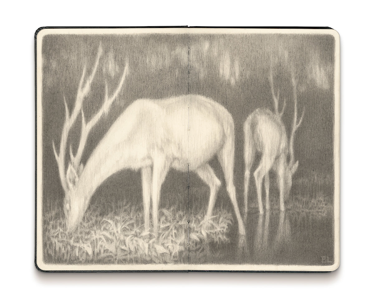 Pencil drawing in an open face moleskine notebook depicting two deer grazing and drinking from a body of water against a dark background by artist Brin Levinson