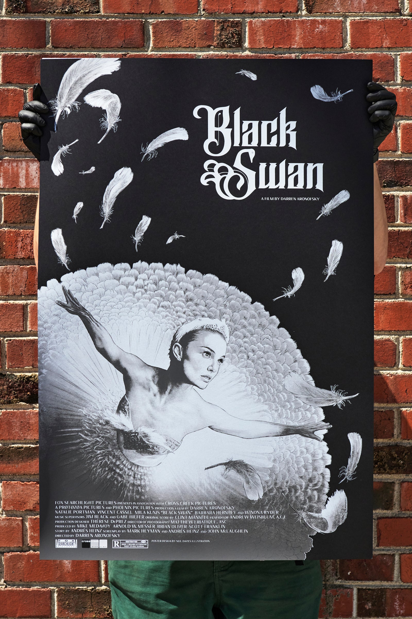 Neil Davies - "Black Swan" print - Spoke Art