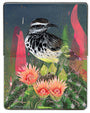 Painting in an open face Moleskine notebook of a spotted white black and brown bird perched on a barrel cactus with pink flowers by artist Frank Gonzales