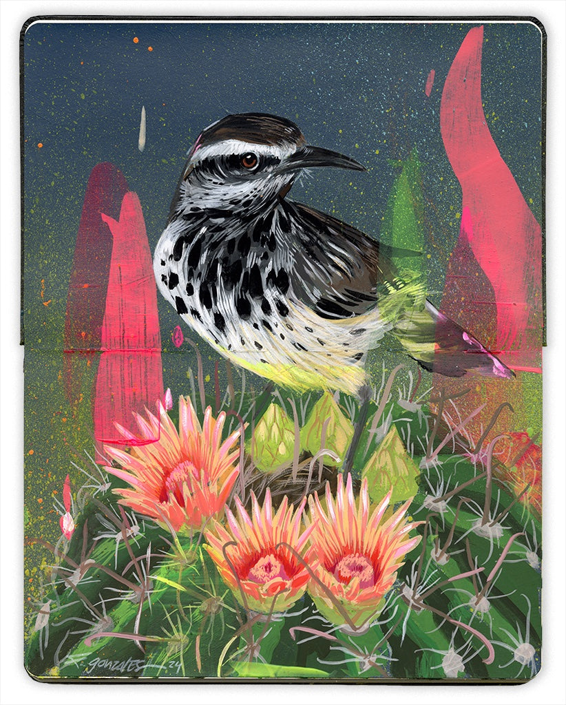 Painting in an open face Moleskine notebook of a spotted white black and brown bird perched on a barrel cactus with pink flowers by artist Frank Gonzales